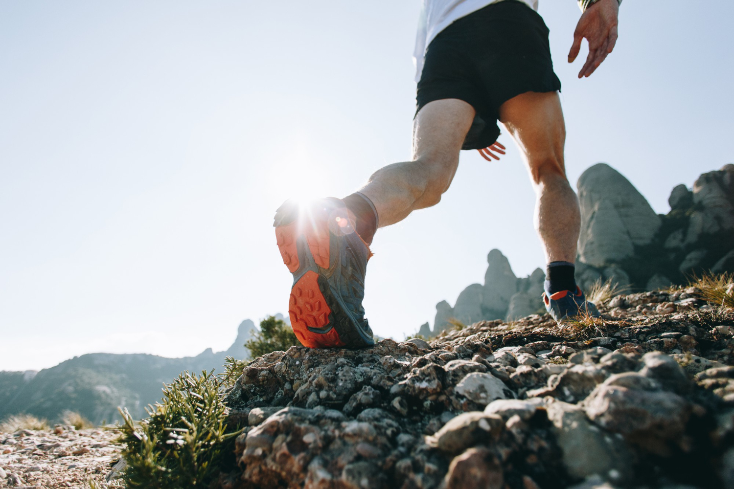 Coureurs sur un sentier forestier