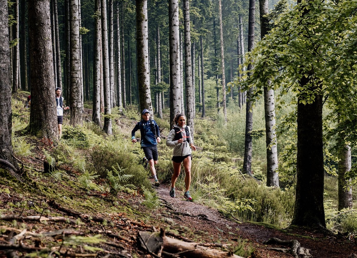 Paysage du Pilat avec un sentier de trail