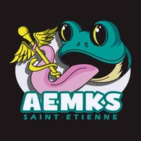 Logo BDE Kiné Sainte Facebook